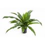 Pianta decorativa di felce JANE, verde, 80cm, Ø80cm