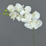 Ramo finto di orchidea Phalaenopsis GALINA, crema, 45cm