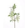 Ramo di glicine artificiale NEZUMI, fiorito, bianco, 105cm