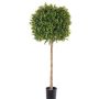Bosso di plastica THORIS, tronco vero, 105cm, Ø40cm