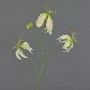 Gloriosa finta TIANA, rosa-verde, 80cm, Ø8-15cm