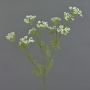 Ramo artificiale di aneto WINCENT con fiori, bianco-verde, 80cm