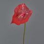 Anturio finto MOIRA, rosso, 75cm, 13x20cm