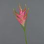 Speronella finta TOMKE, rosa-verde, 80cm, Ø30cm