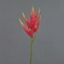 Speronella finta TOMKE, rosso-verde, 80cm, Ø30cm