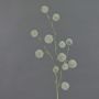 Allium finto EMRAH, verde, 80cm, Ø2-4cm