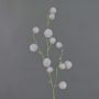 Allium finto EMRAH, viola, 80cm, Ø2-4cm