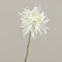 Dalia di plastica SMILA, crema, 55cm, Ø12cm