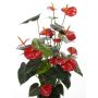 Anthurium artificiale LIOSA su stelo, rosso, 80cm, 8x10cm