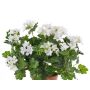 Geranio finto BERENIKE su stelo, zona trasversale, bianco, 40cm, Ø5-8cm