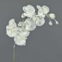 Ramo artificiale di orchidea Phalaenopsis MYRIA, neve, bianco, 75cm