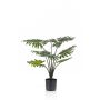 Filodendro Selloum di plastica FRIO, 60cm