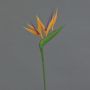Strelitzia finta ZETKIN, arancione-viola, 65cm