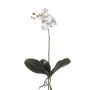 Orchidea Phalaenopsis finta FAO su stelo, bianca, 45cm