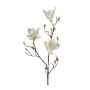 Magnolia decorativa MALVAO, crema, 90cm