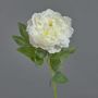 Peonia di plastica DIVIN, crema, 65cm