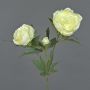 Peonia decorativa MISTI, crema, 70cm