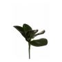Ramo di orchidea Phalaenopsis di plastica NIUT, su stelo, verde, 25cm