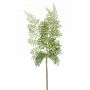 Ramo finto di felce HALIMA, verde, 60cm
