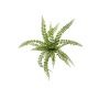 Felce finta BELONA, verde, 50cm