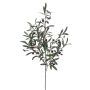 Ramo d'olivo artificiale CARSON con frutti, 100cm