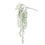 Ramo finto di cactus rhipsalis pilocarpa PUEBLA, verde, 120cm