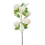 Ramo di viburnum artificiale FONTE, crema, 75cm