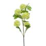 Ramo di viburnum artificiale FONTE, verde chiaro, 75cm