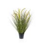 Erba di coda di volpe decorativa CAREL con pannocchie, verde, 70cm