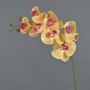Ramo decorativo di orchidea Phalaenopsis NEITH, rosa-arancione, 85cm