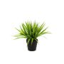 Cannuccia di palude artificiale ARIANO, verde, 30cm