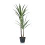 Yucca finta FRONTEIRA, 110cm