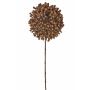 Allium finto BOCELLI, marrone, 70cm, Ø14cm