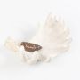 Ciotola decorativa in corno d'alce WIBE, plastica, fatta a mano, bianco, 22x17x10cm