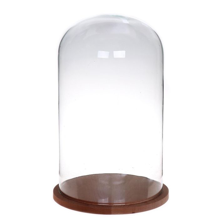 Campana di vetro HELVIN con base in legno, trasparente, 38cm, Ø22cm
