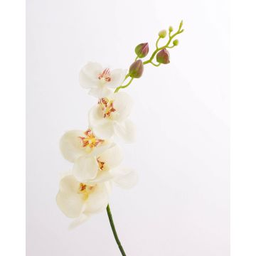 Ramo finto di orchidea Phalaenopsis DAJANA, bianco crema, 90cm