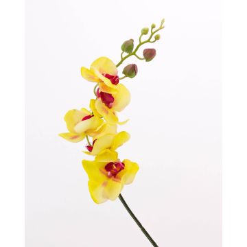 Ramo finto di orchidea Phalaenopsis DAJANA, giallo-rosa, 90cm
