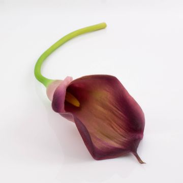 Calla decorativa TERESA, viola, 70cm, 10x18cm