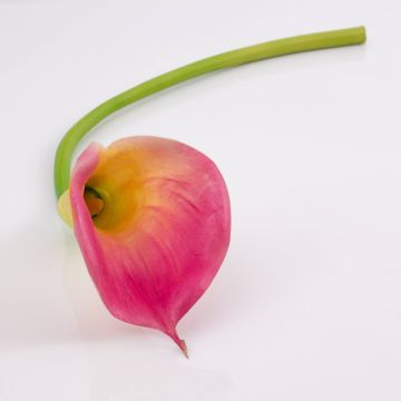 Calla decorativa TERESA, rosa-giallo, 70cm, 10x18cm