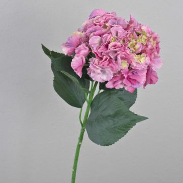 Ortensia artificiale ANGELINA, fucsia-giallo, 70cm, Ø23cm