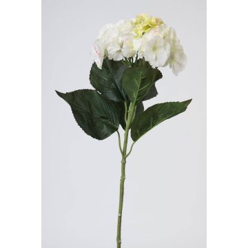 Ortensia artificiale ANGELINA, bianco crema, 70cm, Ø23cm