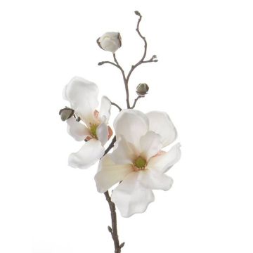 Magnolia decorativa MALBINE, crema, 50cm, Ø6-10cm