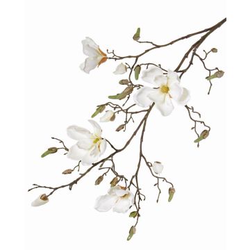 Magnolia artificiale LORA, crema, 110cm, Ø10-12cm