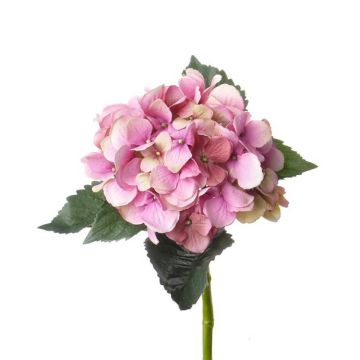 Ortensia decorativa ANTONIA, rosa, 50cm, Ø15cm