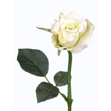 Rosa artificiale ELLI, bianco crema, 30cm, Ø 6cm