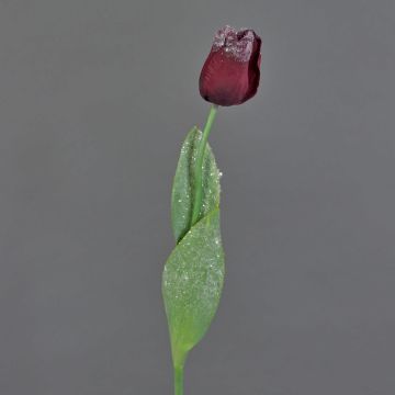 Tulipano artificiale PILVI, ghiacciato, rosso scuro, 65cm, Ø5cm