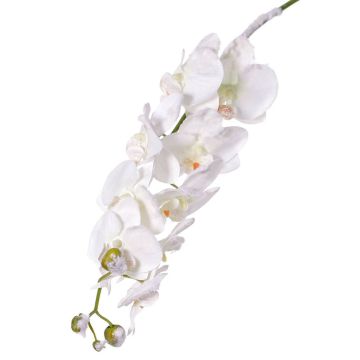 Orchidea Phalaenopsis finta NALANI, neve, bianca, 80cm