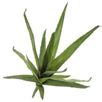 Aloe Vera di plastica VERENA, su stelo, zona trasversale, verde, 50cm, Ø40cm
