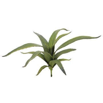 Aloe Vera di plastica VERENA, su stelo, zona trasversale, verde, 65cm, Ø50cm