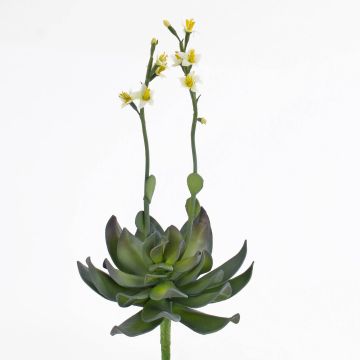 Aeonium finto CHARLIZE, fioritura, su stelo, giallo, 30cm